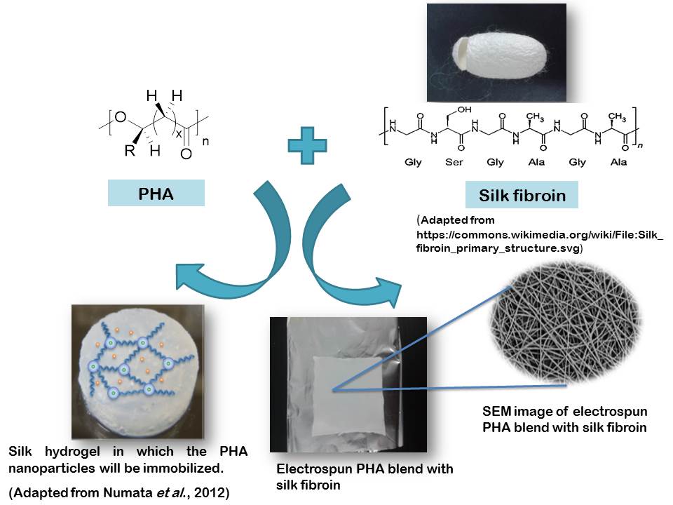 biopolymers